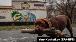 Puszta kézzel semmisíti meg a koronavírust egy orvos ezen a moszkvai falfestményen, 2020. november 19-én.