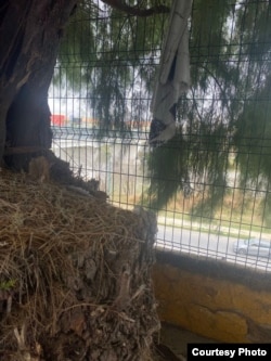 Во время пересечения границы Мексики и США