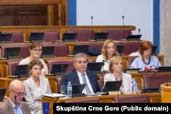 Ministar Radunović sa saradnicama u Skupštini