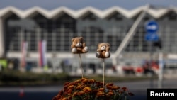 Цвеќиња и плишани играчки на железничката станица во Нови Сад, 2 ноември 2024 година, еден ден по трагедијата.