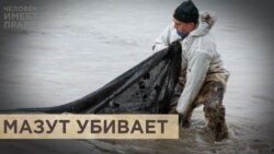 Мазут: опасно для жизни!