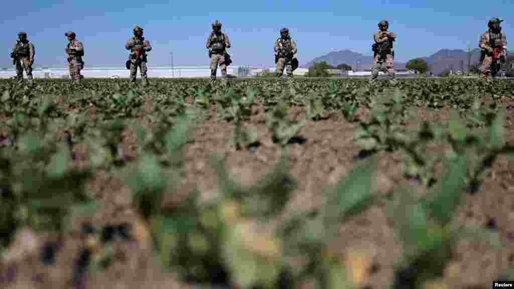 A Glass House Farms, amely az Egyesült Államok egyik leggyorsabban növekvő kannabisz vállalataként hivatkozik magára, az X-en közölte, hogy telephelyeit „meglátogatták az ICE tisztviselői”. „A vállalat teljes mértékben együttműködött a házkutatás során” – tették hozzá