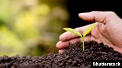 Илустрација