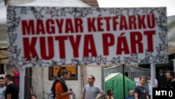 Kovács Gergely, a Magyar Kétfarkú Kutya Párt (MKKP) elnöke (k) a párt eredményváró rendezvényén a Teleki Blanka utcai irodájuk előtt az EP-választás napján, 2019. május 26-án