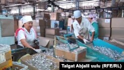 Майлуу-Сууйский ламповый завод.