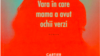 Tatiana ŢÎBULEAC. Vara în care mama a avut ochii verzi
