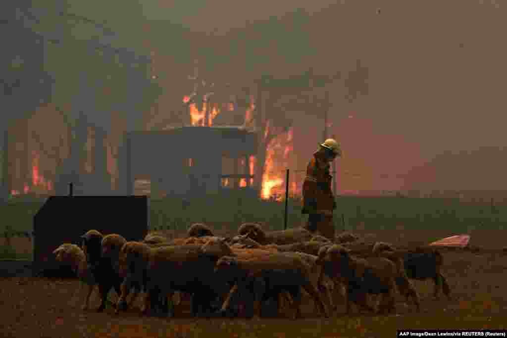 Vatrogasci pokušavaju da zaštite domove u blizini grada Tamura