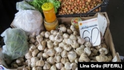 Dacă noua legislație este aprobată, R. Moldova va putea, vreme de cel puțin un an, să-și vândă merele, cireșele, usturoiul și alte produse agricole pe piețele europene fără a plăti taxe vamale.