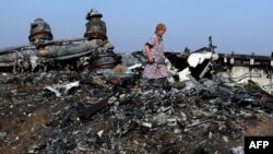 Një grua ec mbi rrënojat e avionit të fluturimit MH17 të Malaysia Airlines, pranë një fshati në rajonin Donjeck të Ukrainës, pasi avioni u rrëzua më 17 korrik 2014.