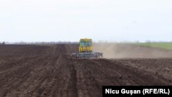 Lucrări de primăvară în satul Antonești, raionul Ștefan Vodă. Filmări pentru documentarul din seria „Pur și Simplu, Moldova”