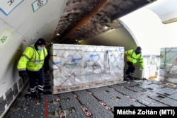 A Sinopharm kínai gyógyszergyártó cég koronavírus elleni vakcináit pakolják ki a Külgazdasági és Külügyminisztérium által vásárolt Airbus 330 típusú teherszállító repülőgépből a Liszt Ferenc-repülőtéren 2021. február 16-án.