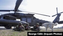 Militari români la antrenamente cu parteneri din NATO