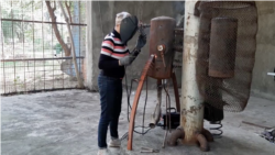 რუსთავის ტყე-პარკში გაუქმებულ ცხოველთა ვოლიერებში მხატვრები და მოქანდაკეები წელსაც შესახლდნენ