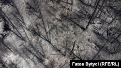 Posljedice požara na Prokletijama