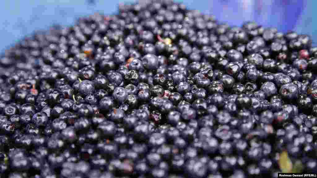 Ndër produktet që tërhiqnin vëmendjen e vizitorëve ishin edhe boronicat e freskëta vendore.