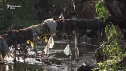 De-a lungul Bâcului, în preajma alegerilor