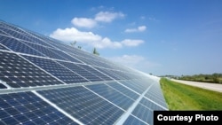 Илустративна фотографија. 