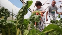 Vijek u poljoprivredi