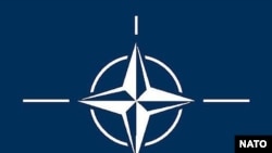 NATO logo