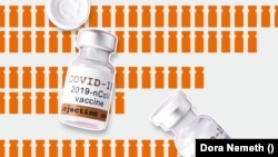 Melyik koronavírus-vakcinával oltanak a legtöbb országban?