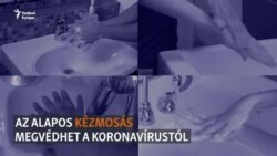 Az alapos kézmosás a kulcs - akár énekelve is