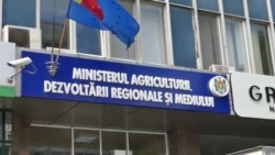 „S-a creat o situație artificială pentru a tăia pădurile și a vinde masa lemnoasă.” Protest al ecologiștilor la Chișinău