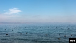 Спасательные круги, которые использовали мигранты, чья лодка затонула у Лесбоса в октябре