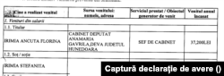 Declarația de avere depusă de Ancuța Florina Irimia.