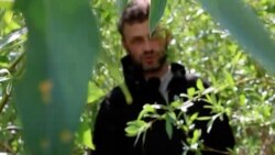 Natura își reintră în drepturi la barajul de pe Nipru aruncat în aer în 2023 