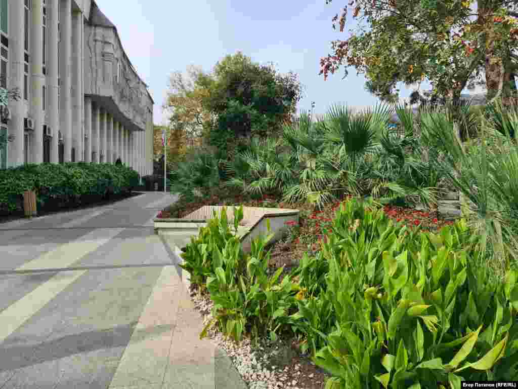 Сочная субтропическая растительность совсем не напоминает об октябре