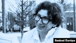 Dr. Gyurkó Szilvia, a Hintalovon Gyermekjogi Alapítvány létrehozója