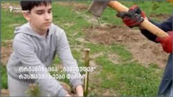 „გავიგუდემ“ ხეები დარგო