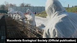 Чистење на линдан од ОХИС (фотоархива).