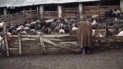 Limita inexistenţei. Episodul III