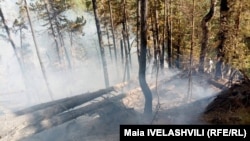 ხანძარი აბასთუმანში. 30 აგვისტო