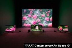 Орхан Гусейнов. “Баяты птиц” (2025)