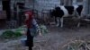 Moldova: milk collection points, people keeping cows and goats