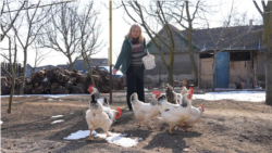 Refugiați ucraineni, găzduiți în case părintești nelocuite. Povestea soților Cerkasov din Odesa care locuiesc în Volintiri, Ștefan Vodă