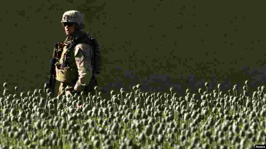 Afganistan - Američke snage u provinciji Farah, 5. maj 2012. Foto: Reuters / Goran Tomašević