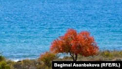 Озеро Иссык-Куль. 