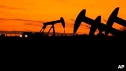 Uoči konferencije COP28 u Ujedinjenim Arapskim Emiratima, mnoge zemlje se zalažu za snažniju, širu posvećenost "postupnom ukidanju" svih "nesmanjenih fosilnih goriva" – uglja, nafte i prirodnog gasa.