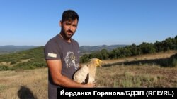 Волен Аркумарев