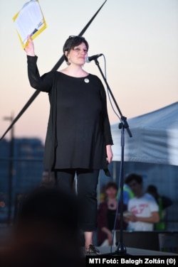 Törley Katalin egy 2017-es CEU melletti tüntetésen
