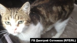 илустрација