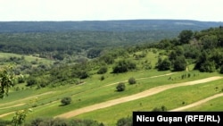 Vedere din împrejurimile satului Căprina, Iunie 2021