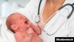 Илустративна фотографија 