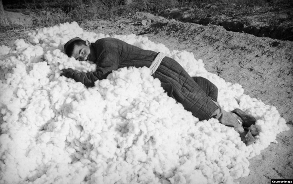 Работник се одмара на свежо набран памук. Пенсон го насочил својот објектив и кон памучната индустрија во Советски Узбекистан. Републиката обезбедувала 70 проценти од целиот памук што се користел во СССР.