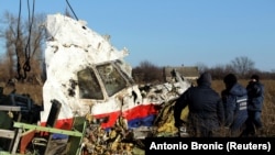 The Malaysia Airlines plane was downed in July 2014.