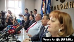 Vojislav Šešelj i radikali