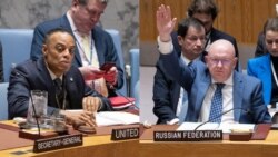 Acting US alternate representative to the UN John Kelley (left) and Russian UN Ambassador Vassily Nebenzia (composite image)